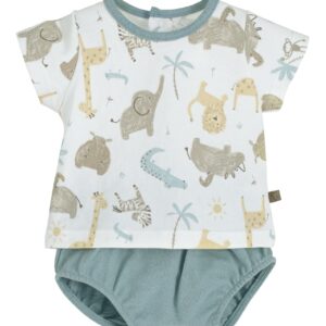 Conjunto Pololo Java  11136.